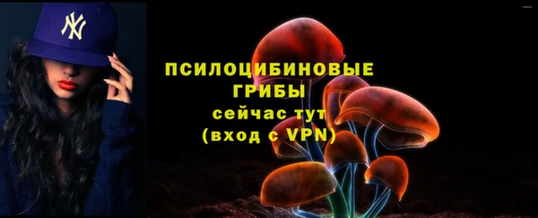 экстази Мегион
